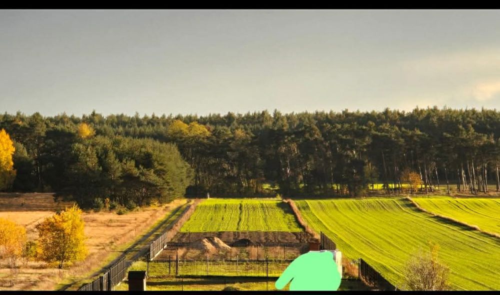 Działka w Barkowicach - Twój dom blisko lasu I Zalewu!! - Widok 3