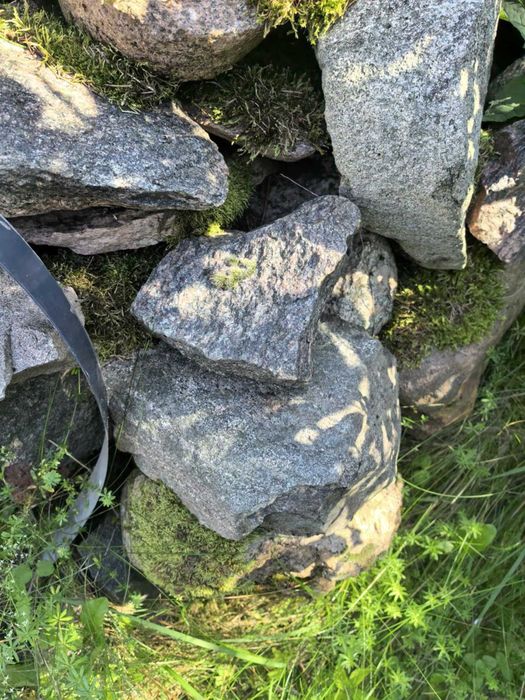 Granit skandynawski kamień naturalny