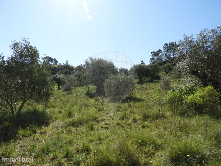 Terreno  para venda