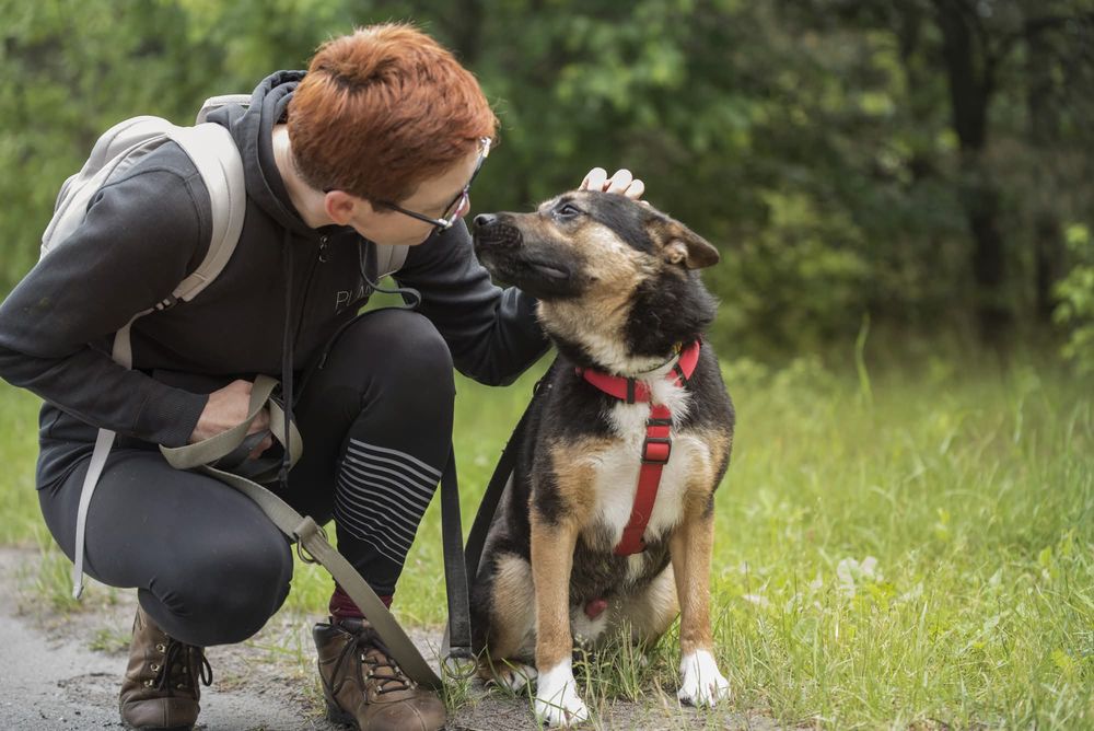 Aron - wrażliwy piesek dla cierpliwego człowieka