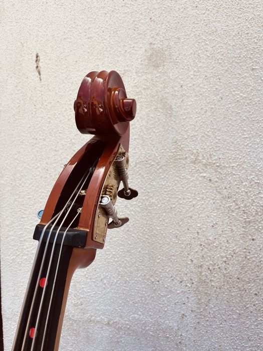 Contrabaixo 1/8 cervini