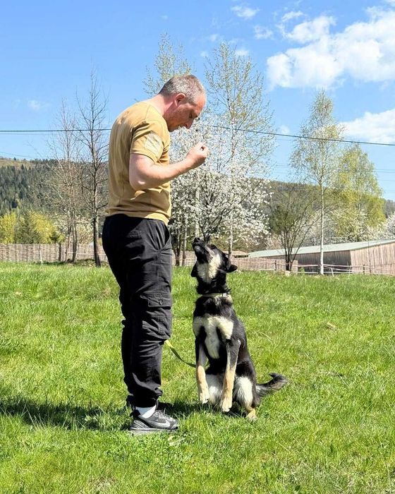 Хлоя (дівчинка) шукає дім!