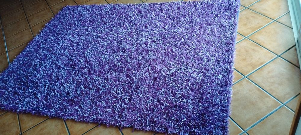 Carpetes de sala em bom estado