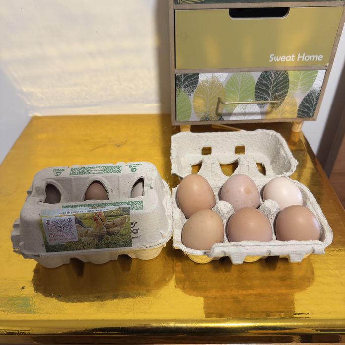 Ovos Caseiros Frescos