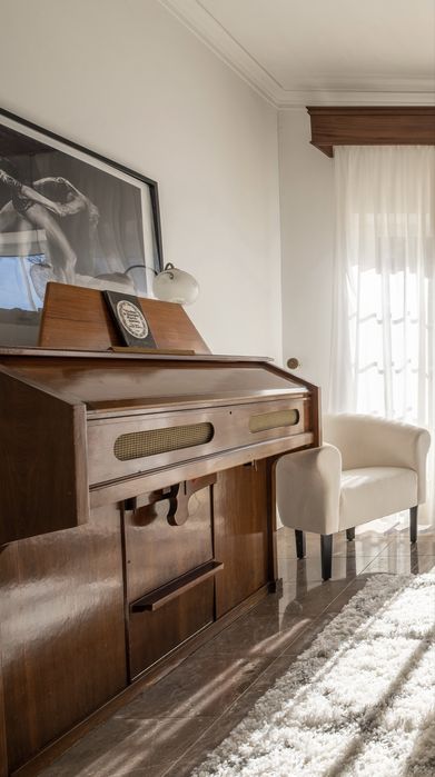 Orgão harmónio de foles