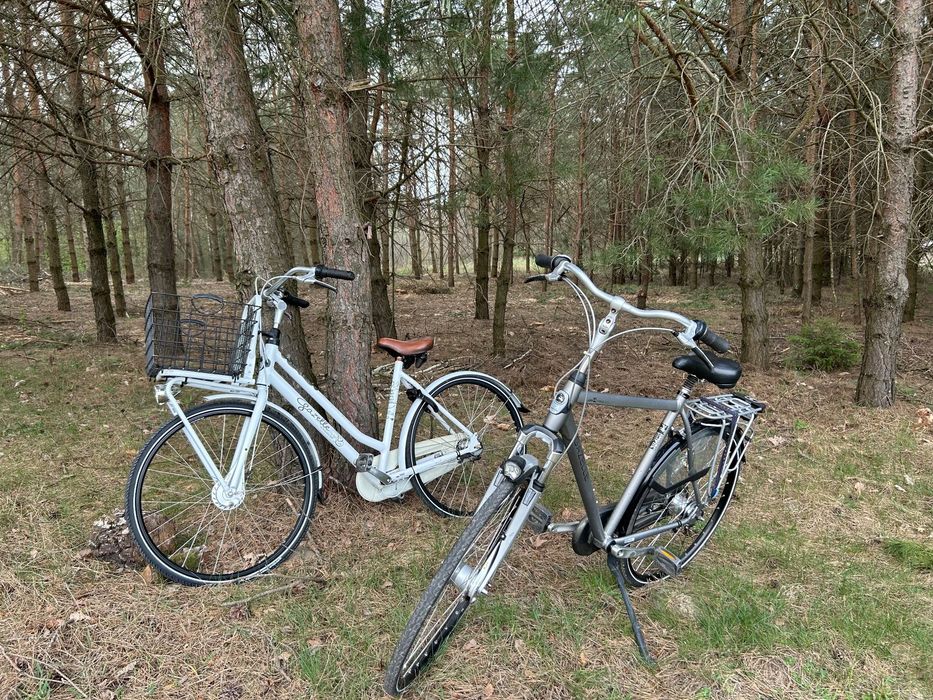 Baciki 61 domek przy lesie na Podlasiu z balia jacuzzi ferie