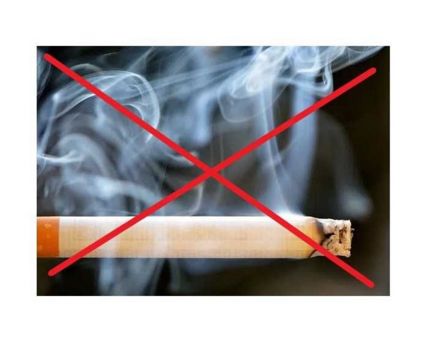 ‼️УБИРАЕМ ПРОКУРЕННЫЙ ЗАПАХ‼️ из салона авто / животных / сырости