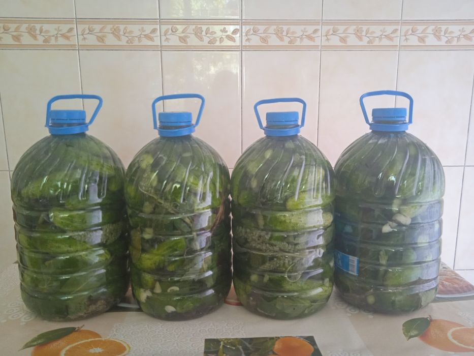 Огурцы соленые. 2025 года.