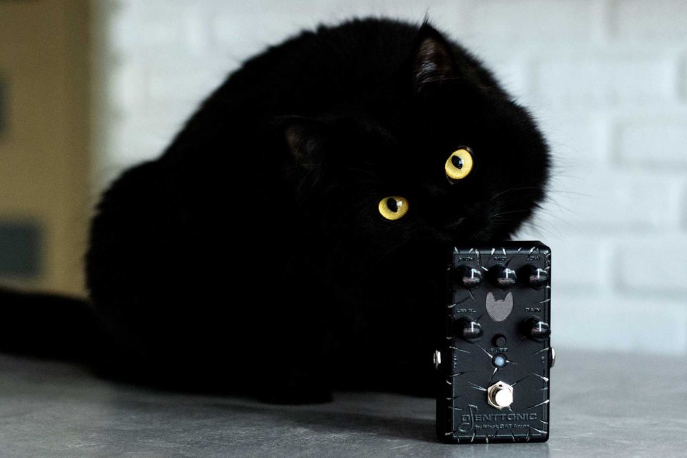 DJENTTONIC - гітарна педаль, дисоршн, примочка, high-gain distortion