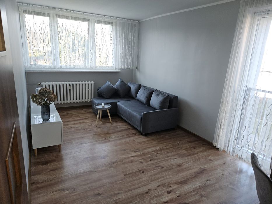 Witam, oferuję mieszkanie do wynajęcia
