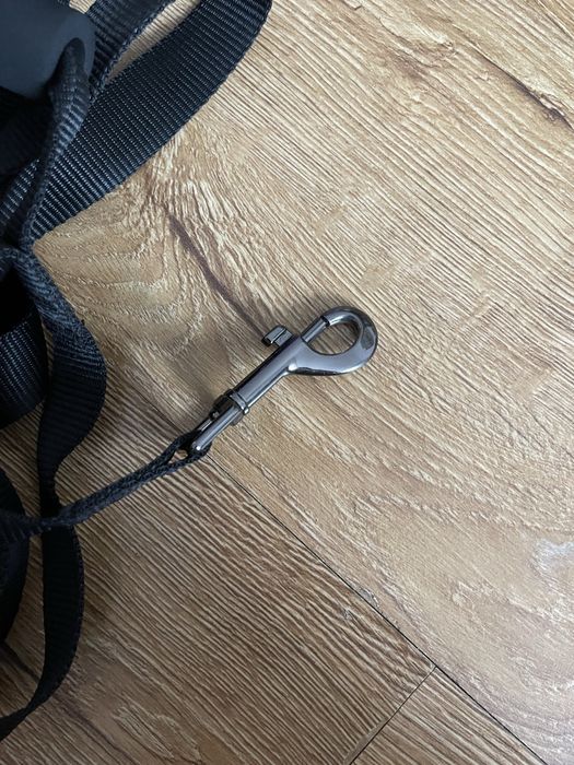 Повідок, повідець для собаки