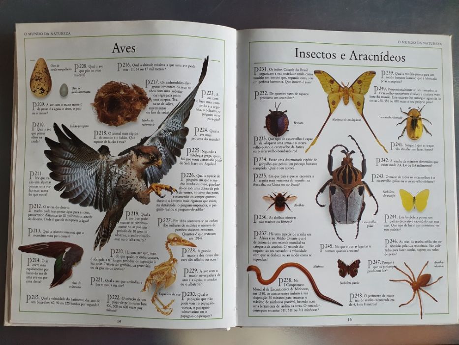 1001 Perguntas & Respostas de Helena Spiteri e David Pickering