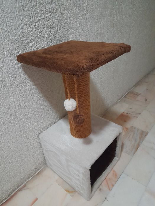 Arranhador, com estrutura forte