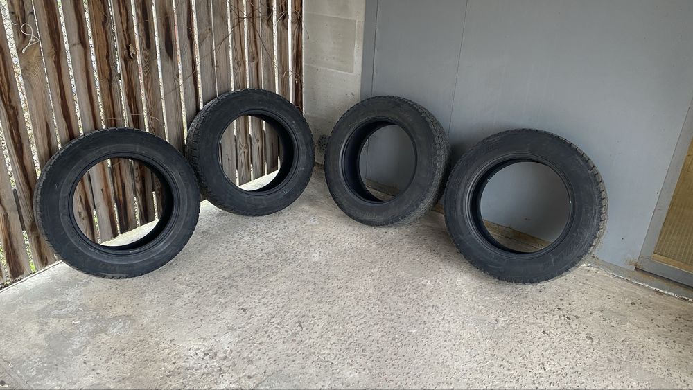 Шини зимові Bridgestone Blizzak dm v1 225 65 r17