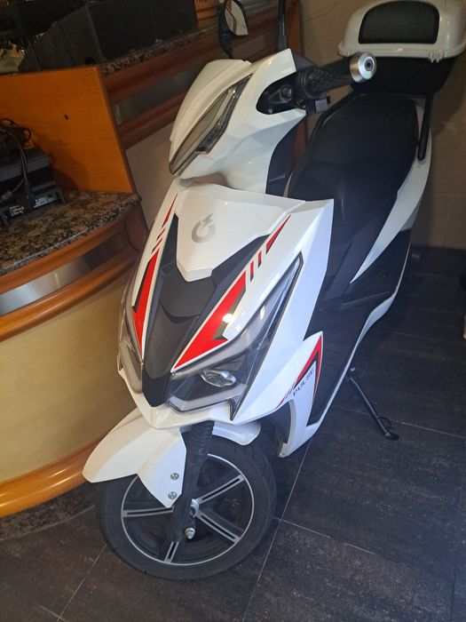 MOTA sem Carta condução