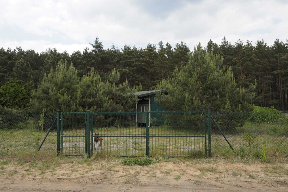 Dzikowo Chrapy działka przy lesie z warunkami zabudowy - uzbrojona i ogrodzona – pohled 3
