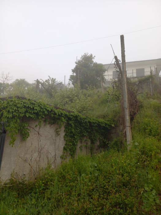 Limpeza de terrenos
