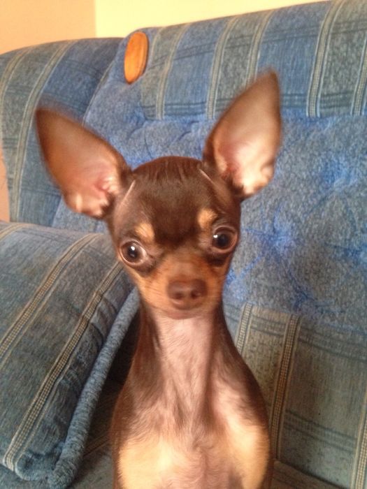 Мальчик и девочка