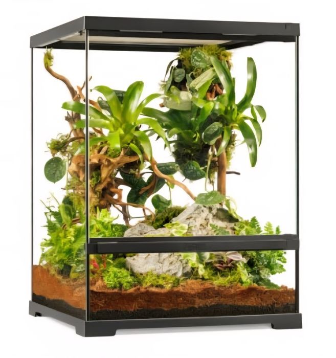 Terrarios novos varios tamanhos