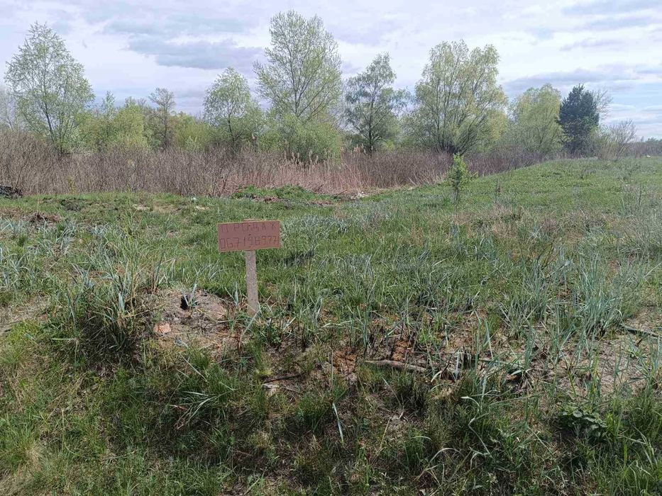 Перша лінія до води.