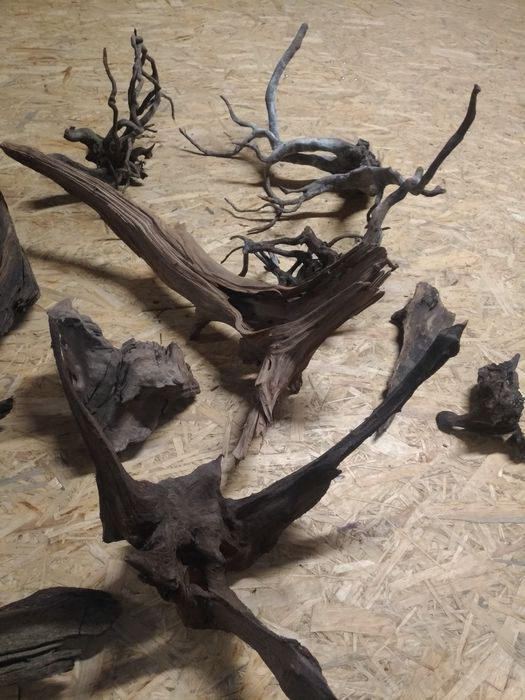 Korzenie do akwarium