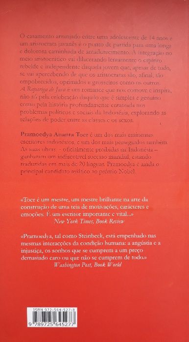 Pramoedya Ananta Toer - A RAPARIGA DE JAVA