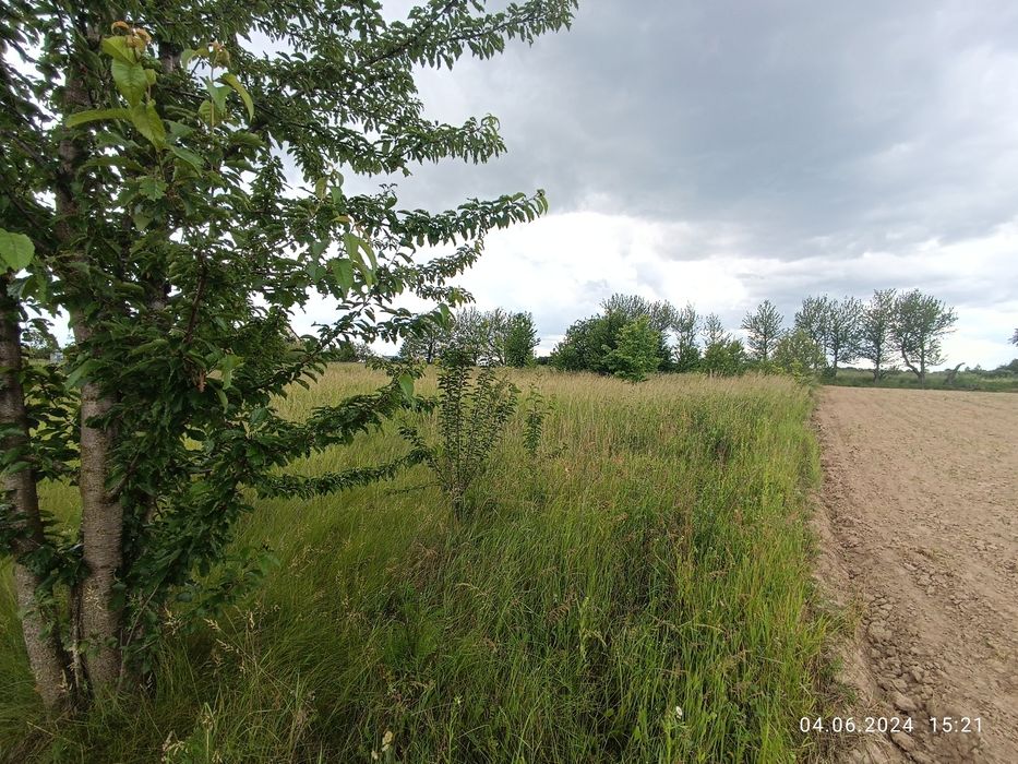 Продаж земельної ділянки під будівництво