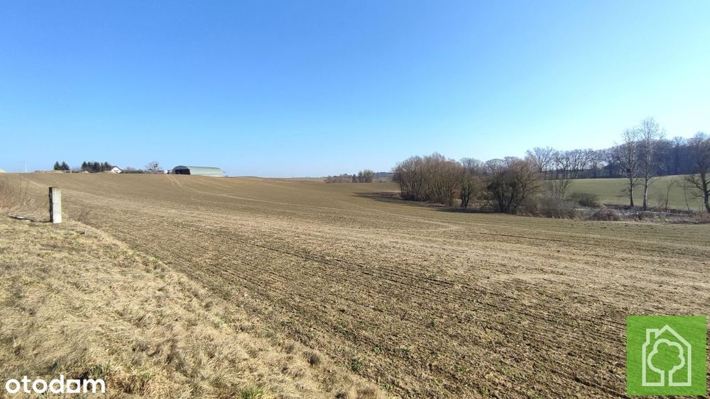 Działka, Wola