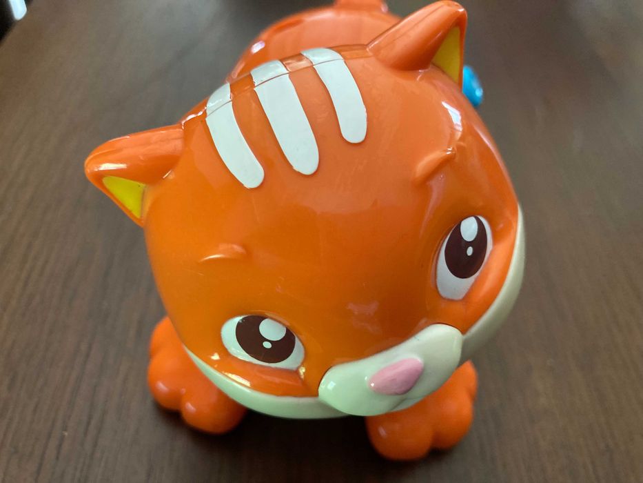 Gato Baby Miminhos