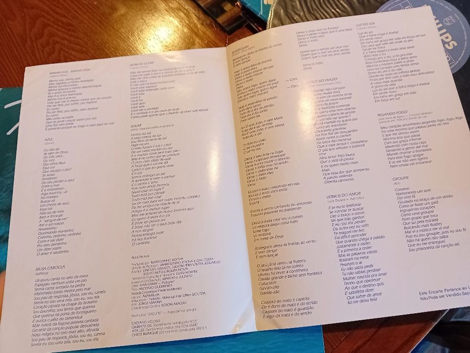 LP da Gal Costa  com o titulo Minha Voz. Está  em perfeito estado.