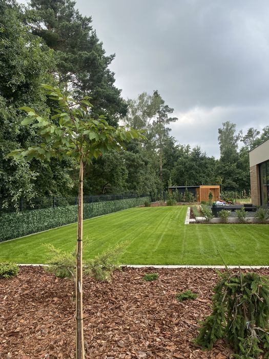 Zkładanie trawników,ogrody,systemy nawadninia glebogryzarka separcyjna