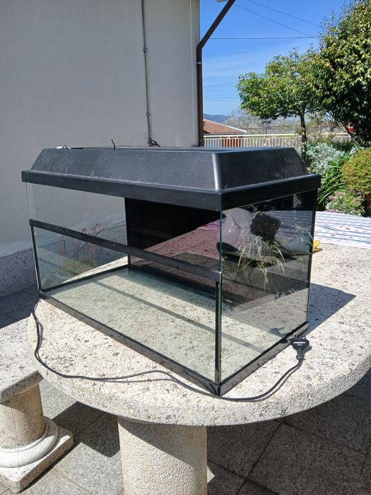 Aquário c/ tampa e acessórios