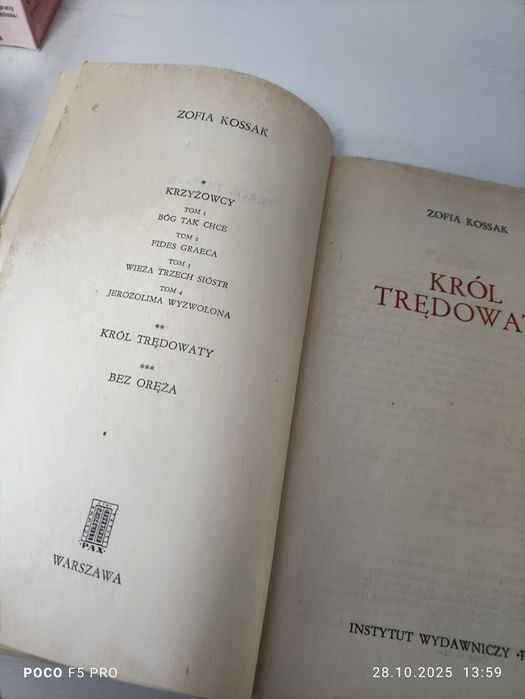 Król Trędowaty Zofia Kossak