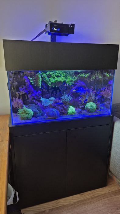 Maxspect Jump MJ-SK200 odpieniacz białek do akwarium morskiego