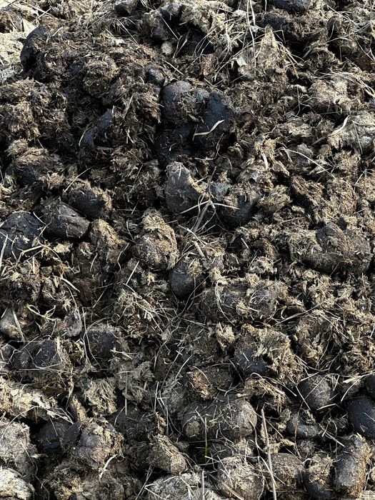 Obornik koński czysty - cala przyczepka