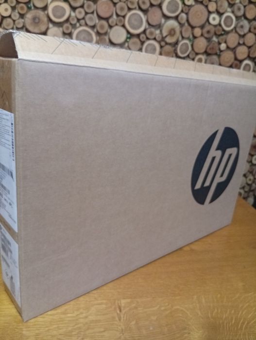 Ноутбук HP 255 G10
