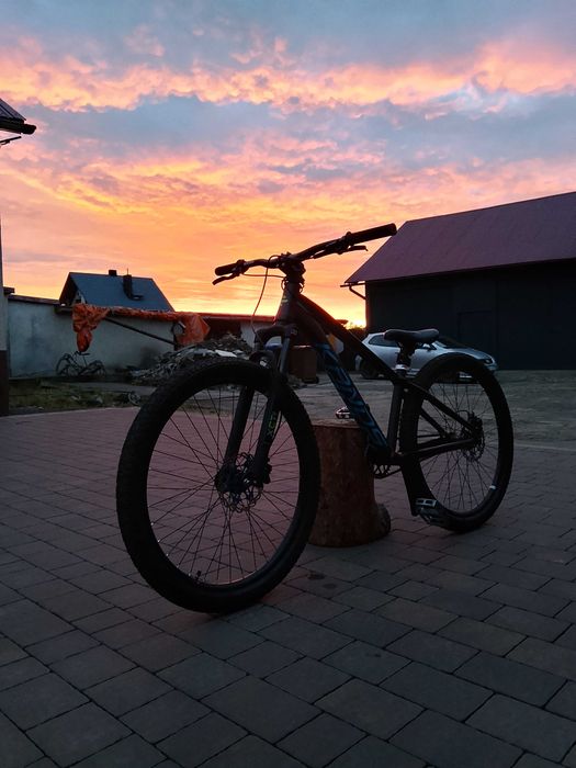 Kands colt f1 OKAZJA!!!