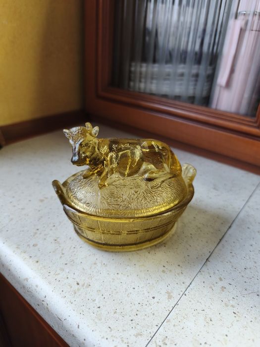 Krowa maselnica HSG Ząbkowice