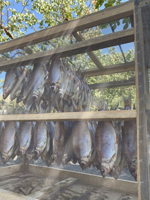 Ікряна тарань плотва сушена в’ялена