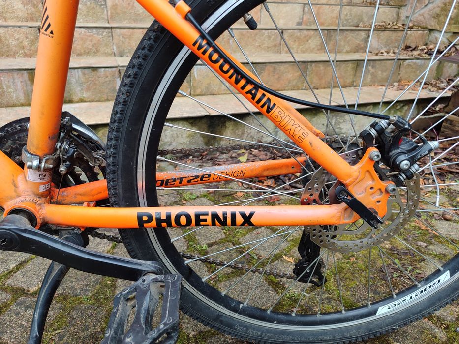Rower Goetze Phoenix Mountain Bike