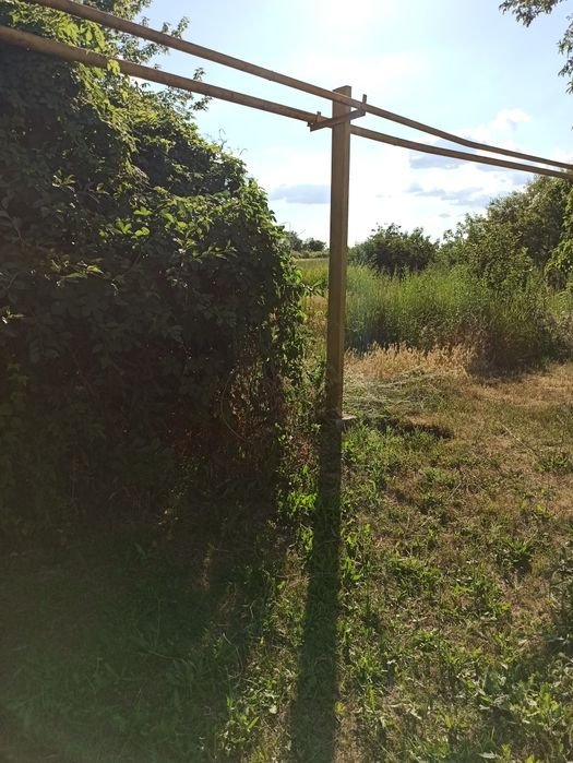 Продам большой участок плодородной земли с домом и хозпостройками.