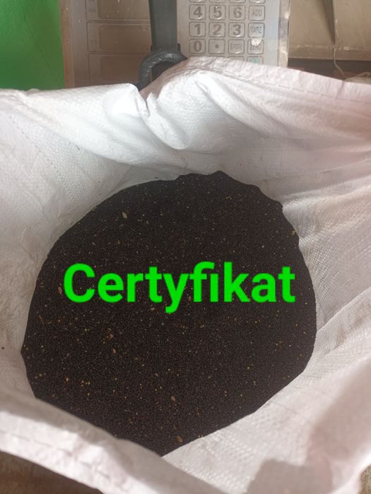 Rzepak nasiona 25kg od Rolnika Wysyłka na olej,dla gołębi,pasza,poponl