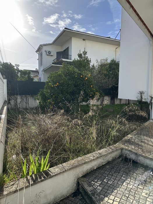 Serviço de Jardinagem, Desmatação e Limpeza de Terrenos