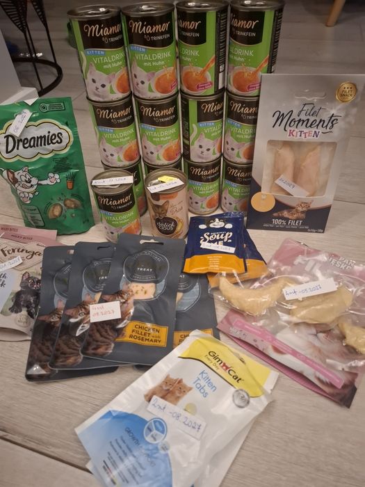 Zestaw startowy dla kitten kota Miamor, Feringa, Dreamies, Encare.