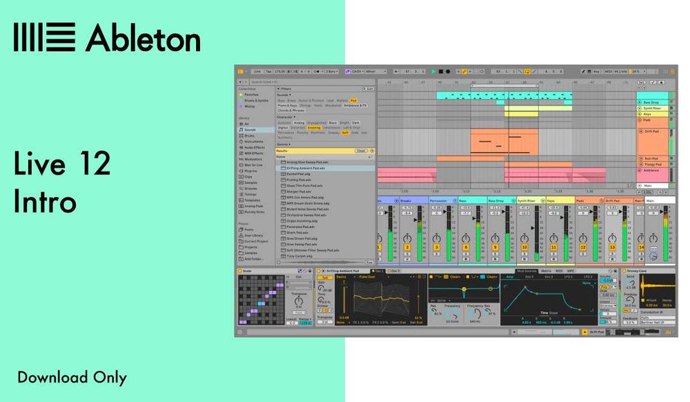 Ableton Live 12 Intro