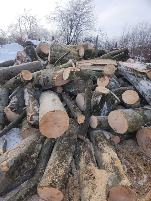 Дрова твердої породи Дуб Граб Ясен Граб