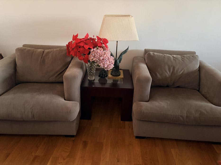 Vendo 2 Cadeirões / Poltronas em Bom Estado