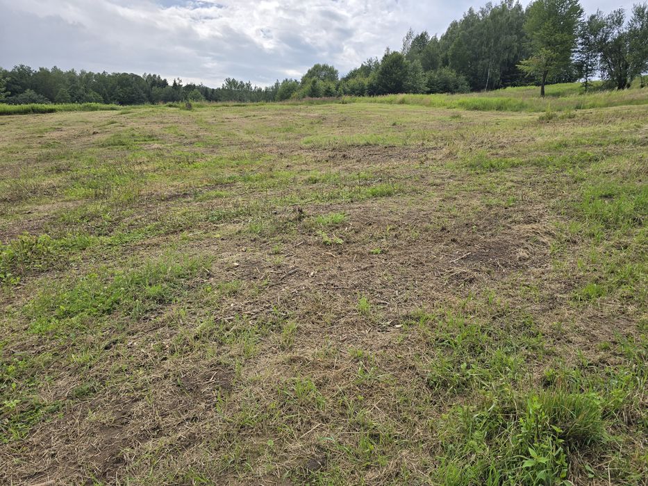 Działki widokowe z warunkami zabudowy Orzechówka - Widok 5