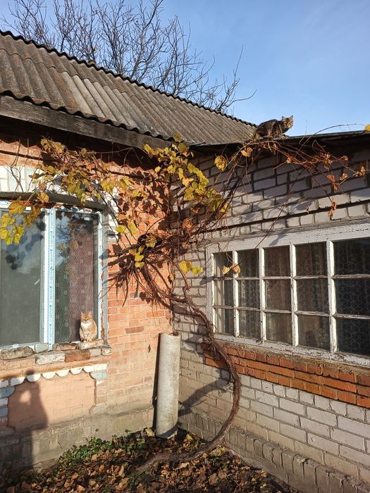 Продам будинок біля Бердичіва