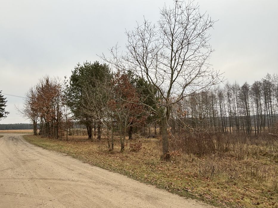 Działka budowlana 15 arów